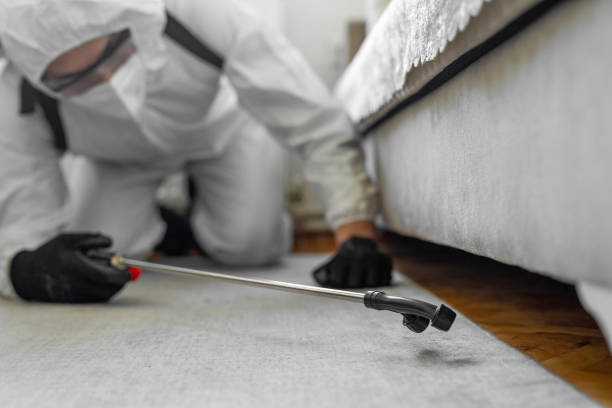 Professional Ant Control technician working in Bayou L'Ourse, LA