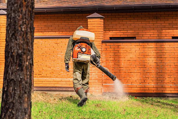 Trusted Ant Control service in Bayou L'Ourse, LA - Nex Pest Control